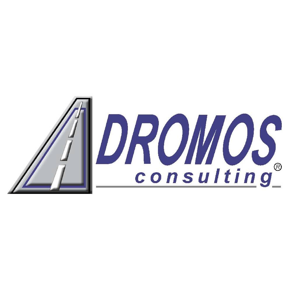 You are currently viewing DromosConsulting